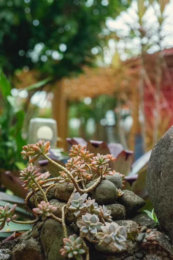 Pousada Cacau Praia do Rosa Ngoại thất bức ảnh