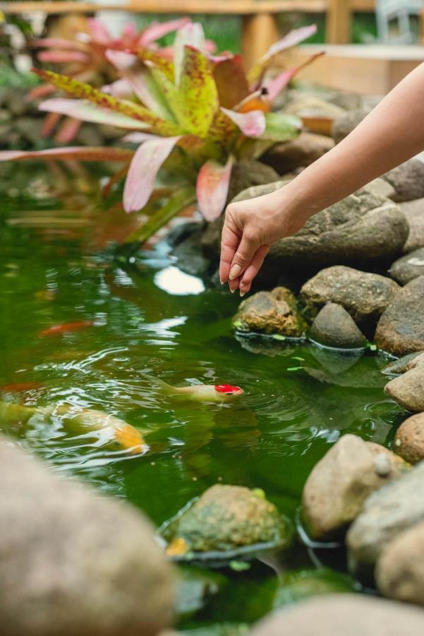 Pousada Cacau Praia do Rosa Ngoại thất bức ảnh