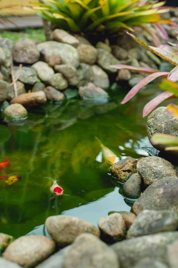 Pousada Cacau Praia do Rosa Ngoại thất bức ảnh